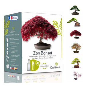 Gradina &amp; Plante