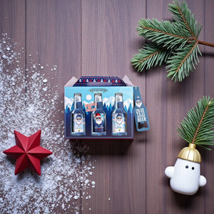 Set cadou Craciun pentru barbati Accentra Men’s Collection Winter Edition