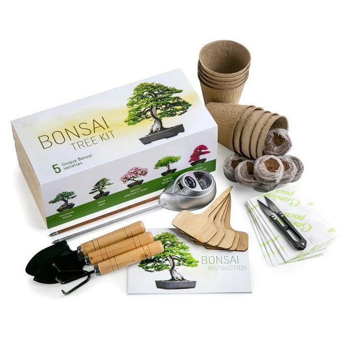 Kit de cultivare Home Bonsai