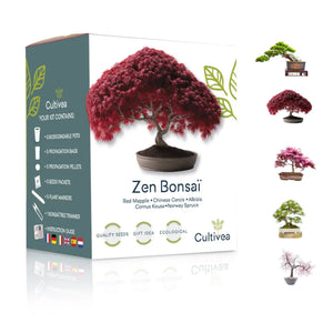 Kit de crestere bonsai Zen Bonsai - FIXXIA-WB-CTKHFYVS